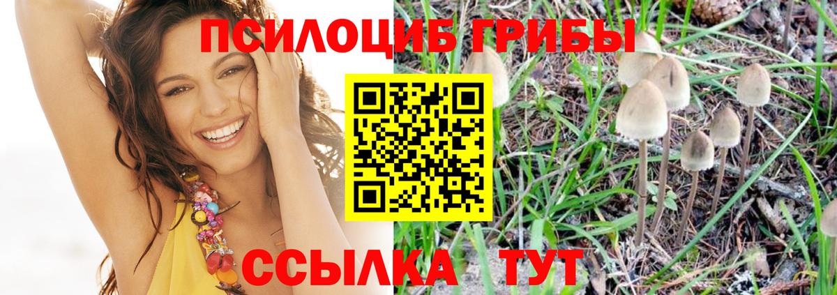 Галлюциногенные грибы GOLDEN TEACHER Коркино