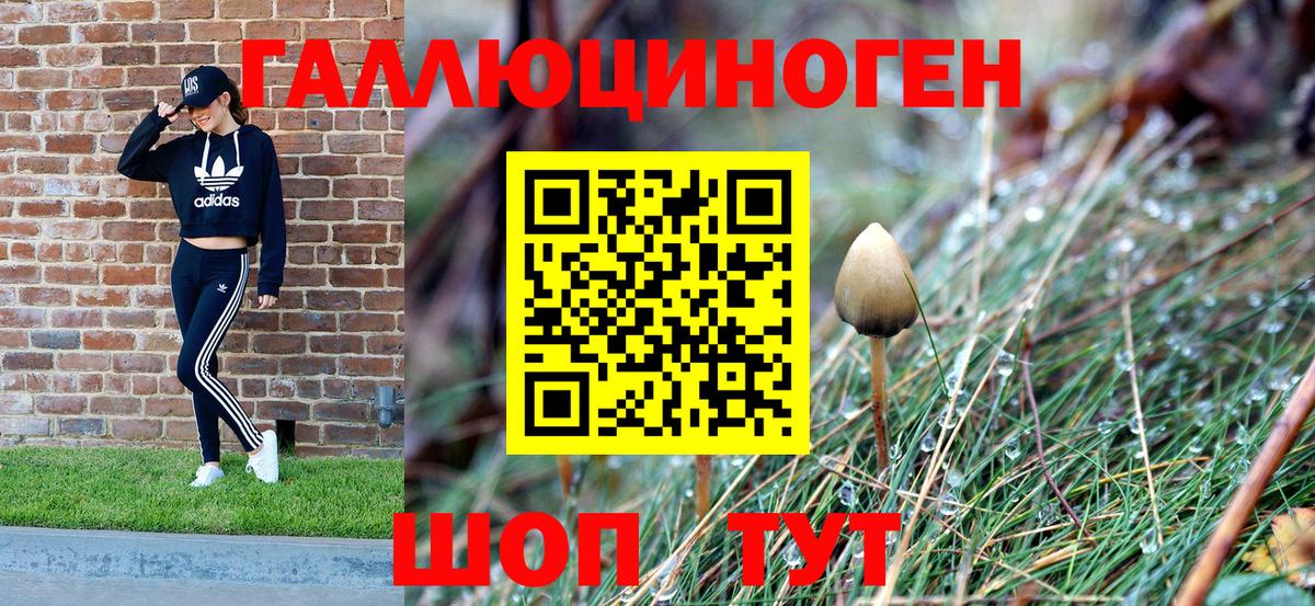 Коркино  Галлюциногенные грибы Psilocybe  Вход с VPN  Галлюциногенные грибы Magic Shrooms 